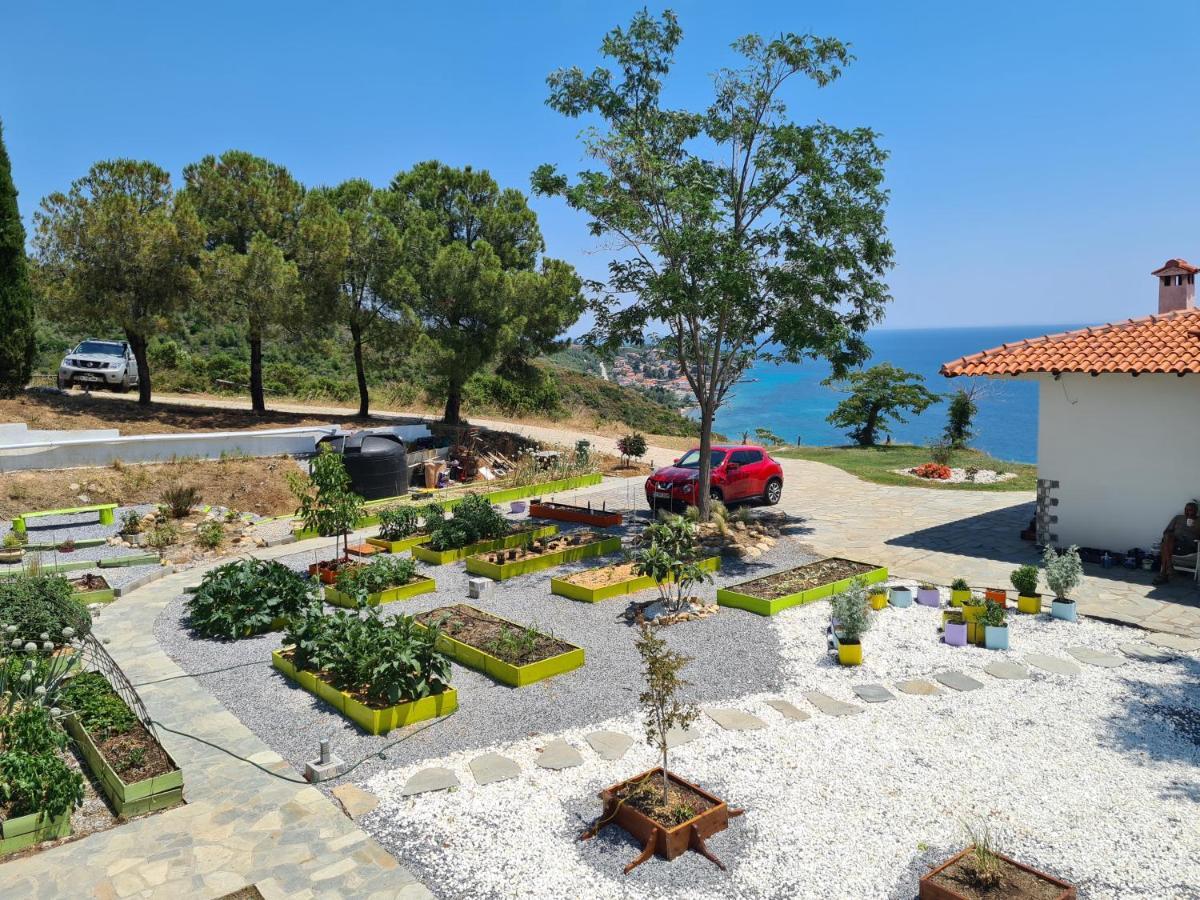 Greco Paradise Suites - Adult Only Неа Скиони Екстериор снимка